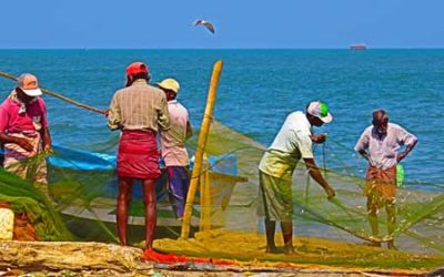 Culture et Tradition au Sri Lanka