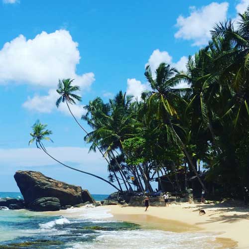 Plage et détente au Sri Lanka