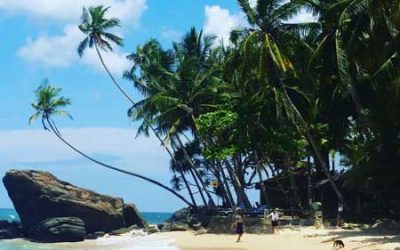 Plage et détente au Sri Lanka