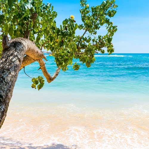 Plage et détente au Sri Lanka