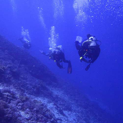 Plongée et snorkeling au Sri Lanka