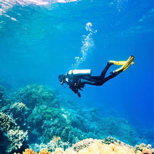 Plongée et snorkeling au Sri Lanka